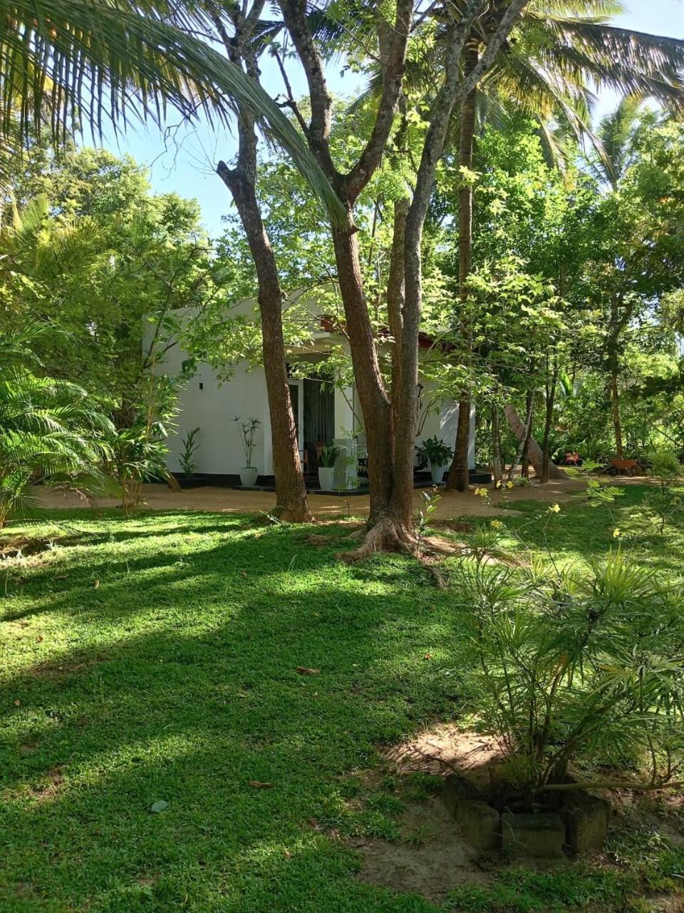 Kings Village Sigiriya Exterior photo