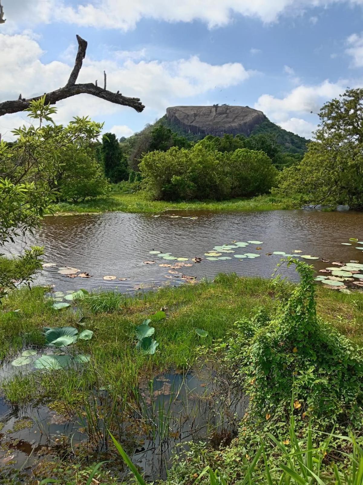 Kings Village Sigiriya Exterior photo