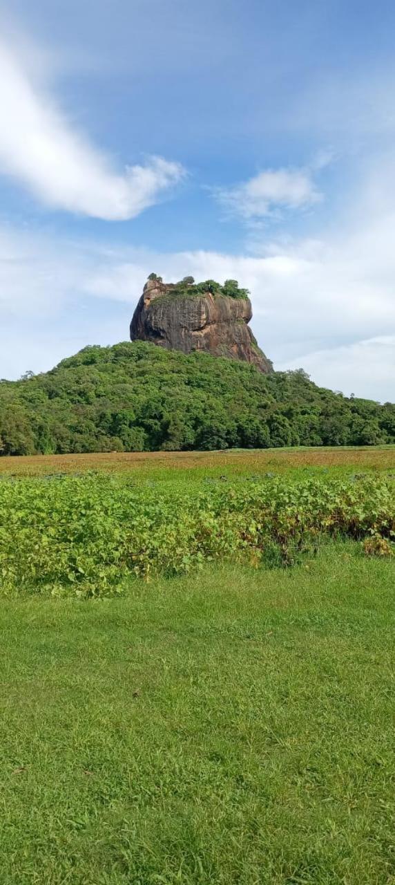 Kings Village Sigiriya Exterior photo