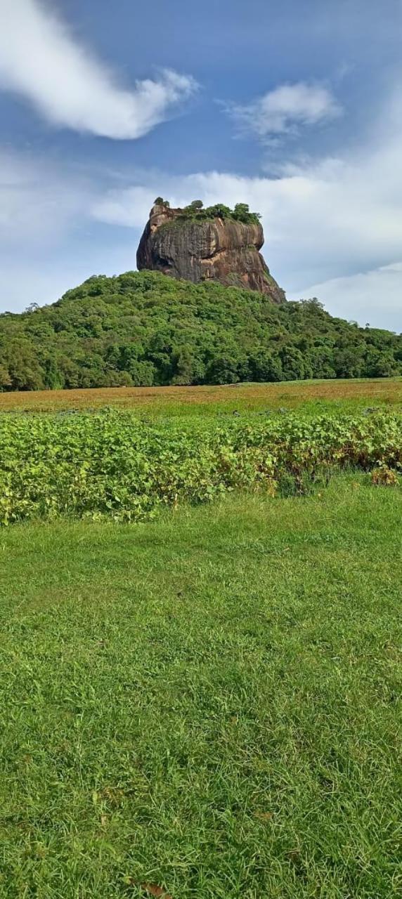 Kings Village Sigiriya Exterior photo