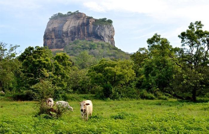 Kings Village Sigiriya Exterior photo