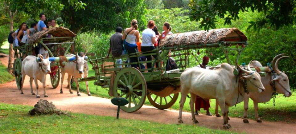 Kings Village Sigiriya Exterior photo